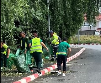 ecovol furtuna