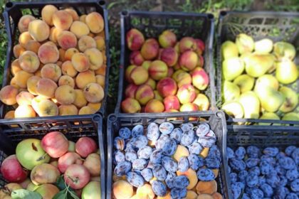 legume fructe foto facebook producatori legume fructe