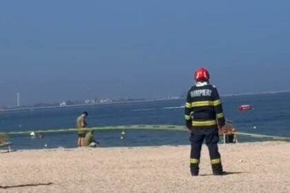 drona mamaia