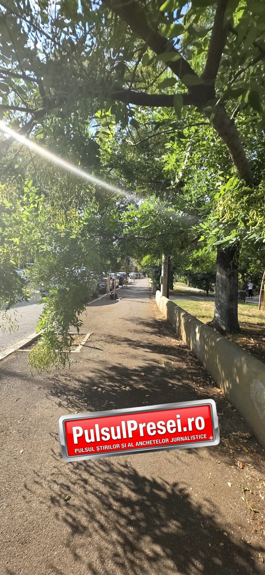 Delăsare și incompetență în Sectorul 5? Parcul Romniceanu, lăsat în voia sorții Parcul Romniceanu din Sectorul 5 8 20260915 160634
