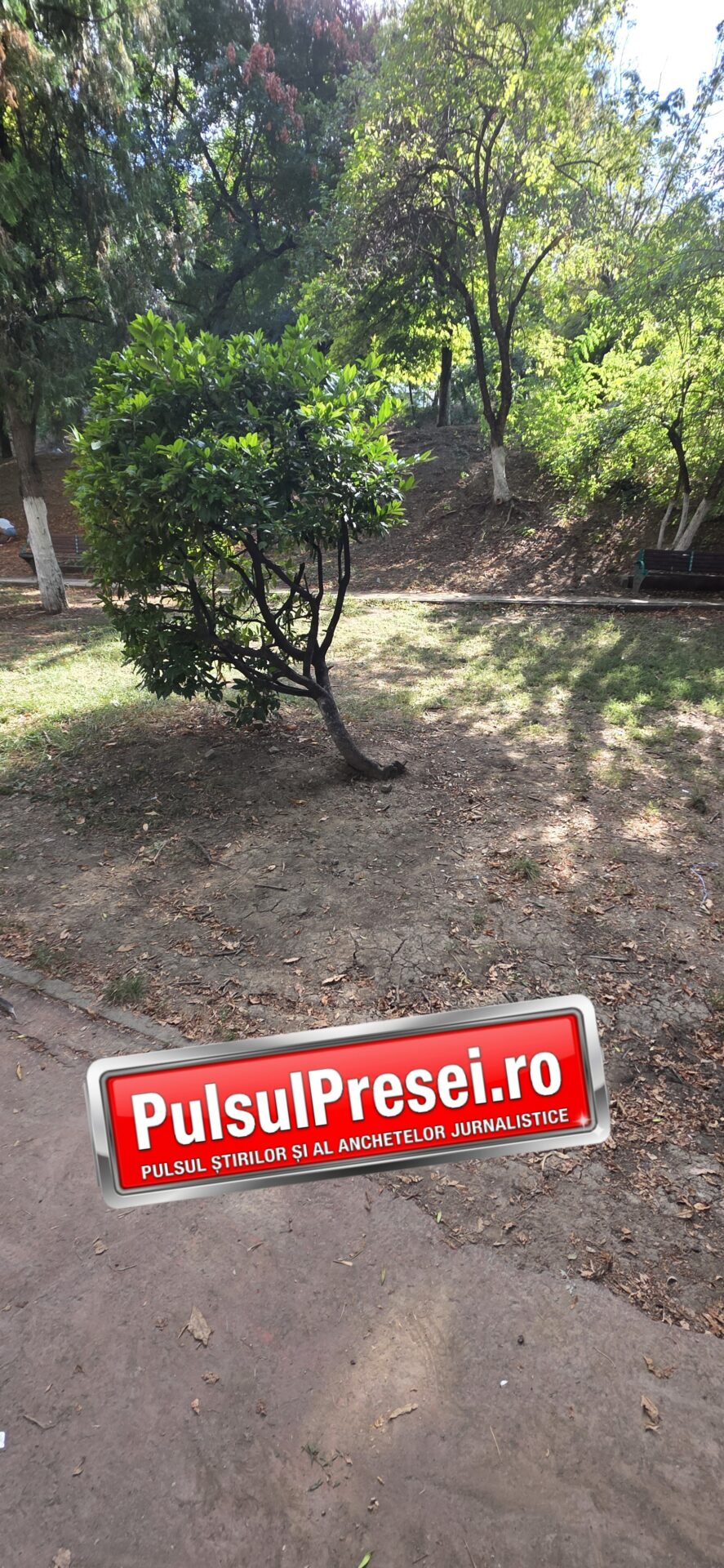 Delăsare și incompetență în Sectorul 5? Parcul Romniceanu, lăsat în voia sorții Parcul Romniceanu din Sectorul 5 9 20260915 161202