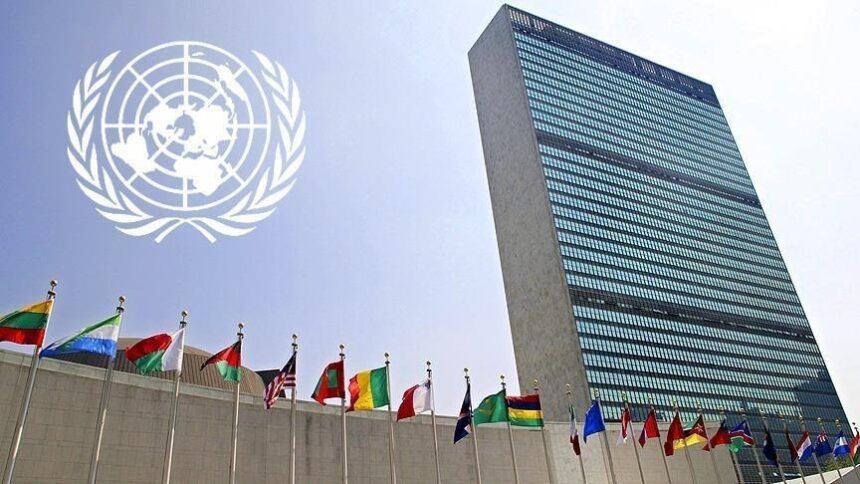 Consiliul ONU