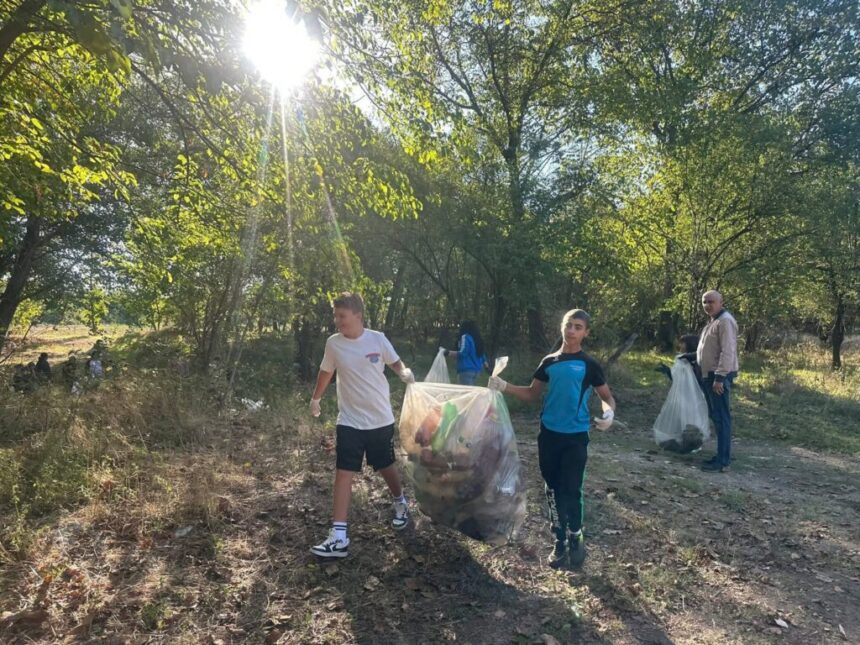 ecologizare padure foto lets do it romania facebook 1024x768
