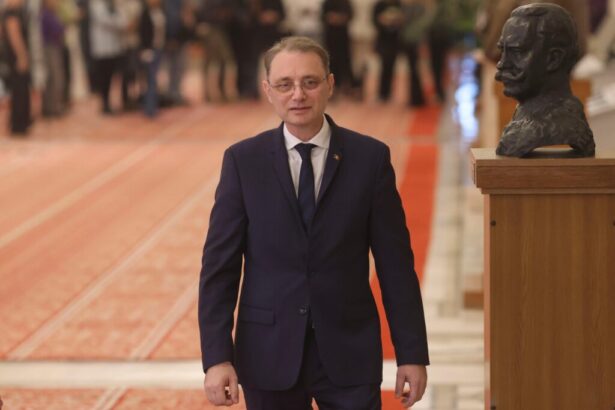 luca niculescu parlament foto inquam photos 1024x683